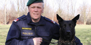 Dieb geht sprichwörtlich baden - Polizeihund findet ihn trotzdem