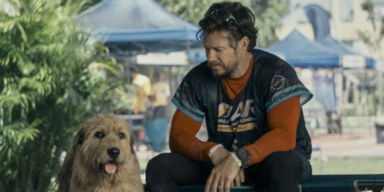 Arthur der Große: Wahlberg kommt jetzt im Kino auf den Hund