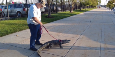Alligator Wally vor dem Phillies-Stadion