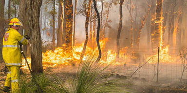 Mehr als 250 Buschbrände in Australien