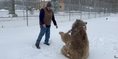 Orphaned Wildlife Center/Youtube