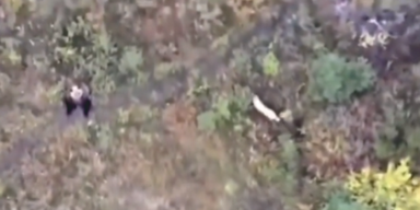 Familie sucht entlaufenen Husky mit Drohne und sieht dann DAS