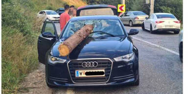 Wiener Auto in Rumänien gepfählt