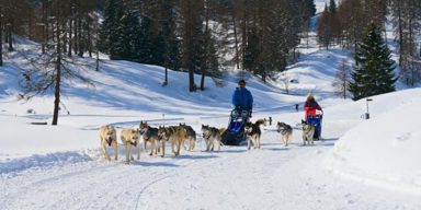 Gewinnen Sie 20x2 Tickets für die Filmpremiere von „Husky Toni – go ahead“