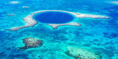 Belize Korallenriff