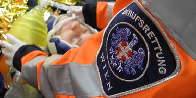 Berufsrettung Wien Rettung Notarzt Krankenwagen