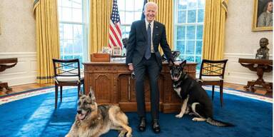 Joe Biden und seine Hunde
