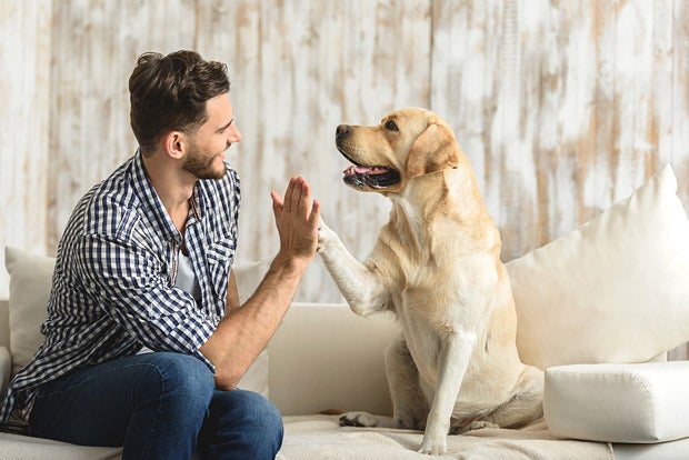 Mann und Hund