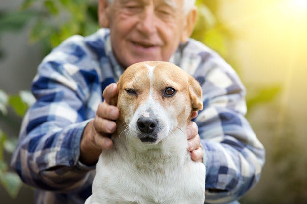 Hund und Mensch
