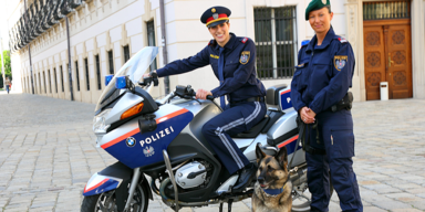 Die Polizei Wien sucht Verstärkung