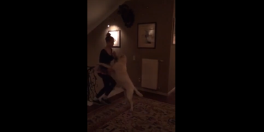 Larissa probt Tango mit ihrem Hund