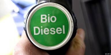 BDI-BioDiesel spürte Flaute bei Neu-Anlagenbau