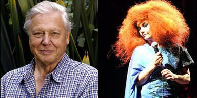David Attenborough und Björk
