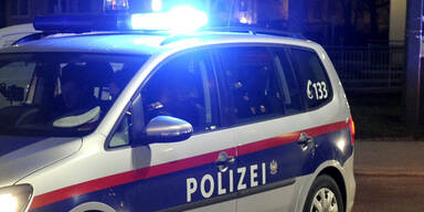 Zwei Männer beschädigen in Wien 44 Fahrzeuge