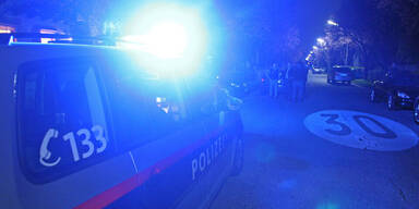 WEGA stoppt mit Messer bewaffneten Mann (54) in Donaustadt