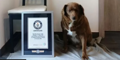 Guinness World Records