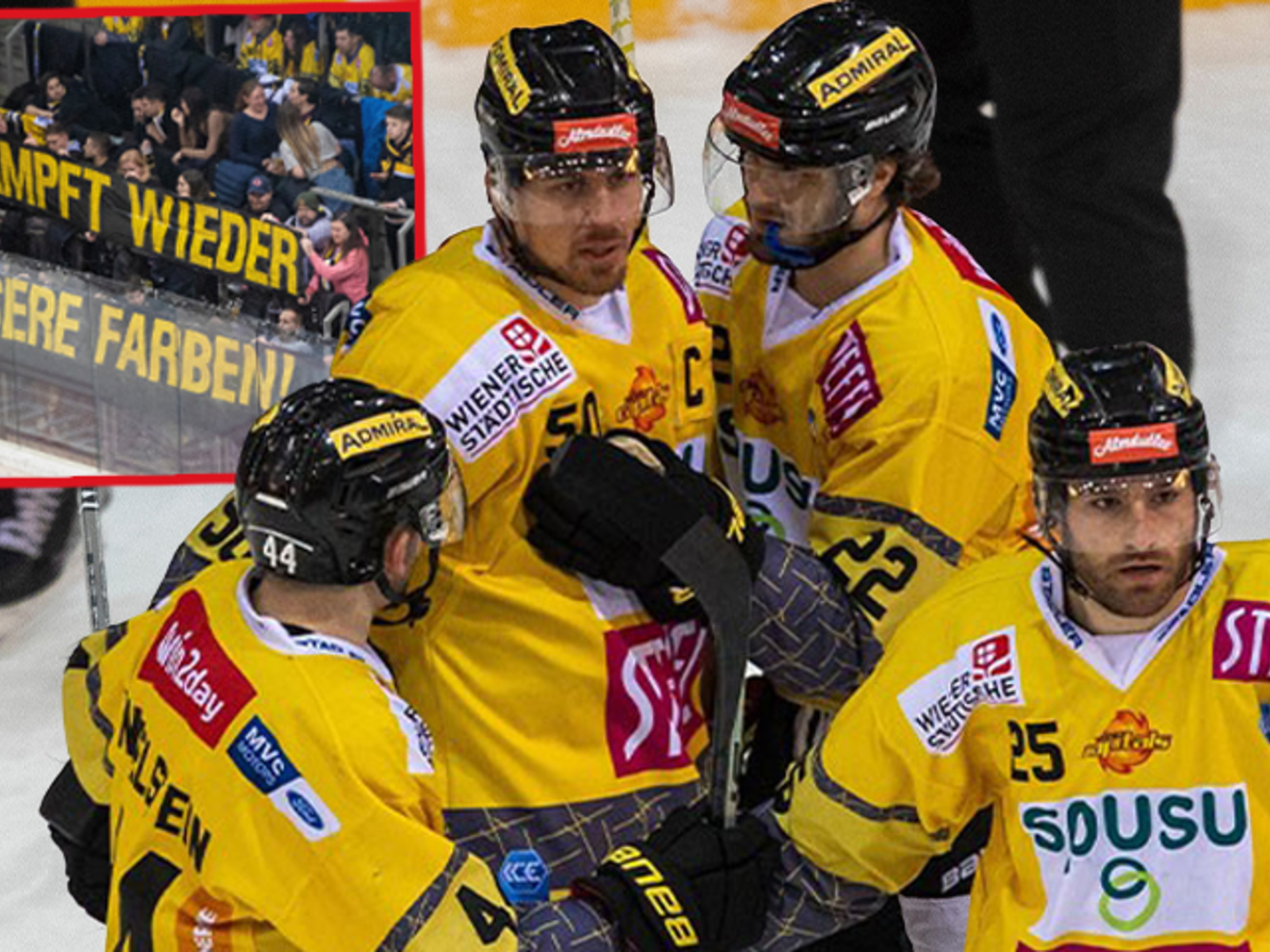 Caps begeistern Fans beim ersten öffentlichen Eistraining - Vienna Capitals