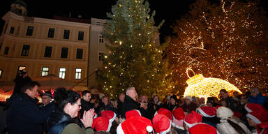 16-Meter Christbaum für Wiener Neustadt