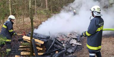 Feuerwehr verhindert Waldbrand bei Losau