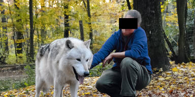 Wolf-Trainerin nach Baby-Mord enthaftet
