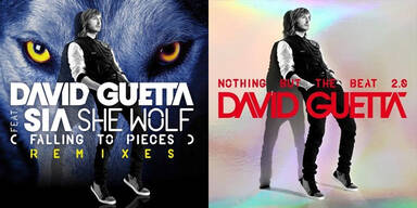 David Guetta - She Wolf (Falling To Pieces)