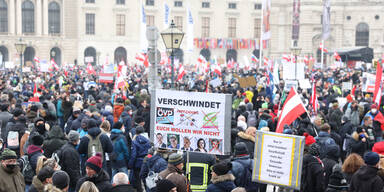 Darum wollen Teile der FPÖ jetzt eine Demo-Pause