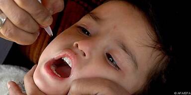 Der Auslöser der Kinderlähmung mit langem Atem