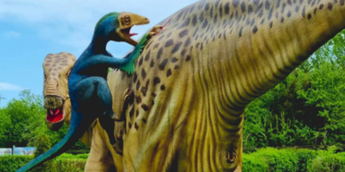 Nach 30 Jahren Saurier-Spaß: "Dinopark Agrarium" ist pleite