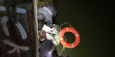 25-Jährige aus Wiener Donaukanal gerettet