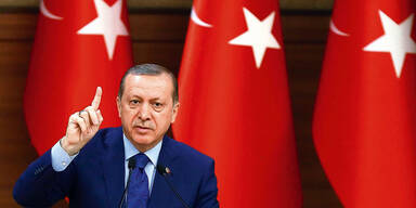 Regierung warnt Austro-Türken vor Erdogan