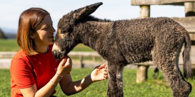 Große Freude: Zuckersüßes Esel-Baby erblickt das Licht der Welt