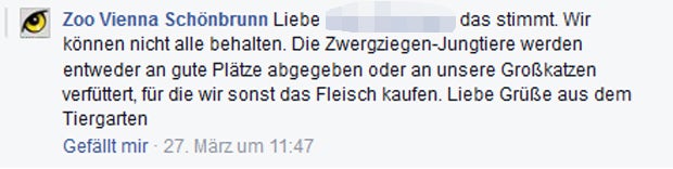 Zoo verfüttert Tier-Babys