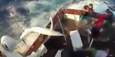 300-Kilo-Fisch attackiert Angler