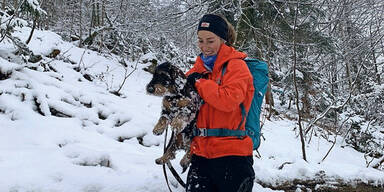 GPS in Halsband: Hund "Racker" aus Berg-Not gerettet