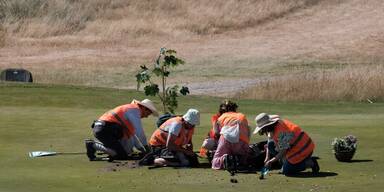 "Renaturiert": Klima-Aktivisten graben Golfplatz auf Sylt um