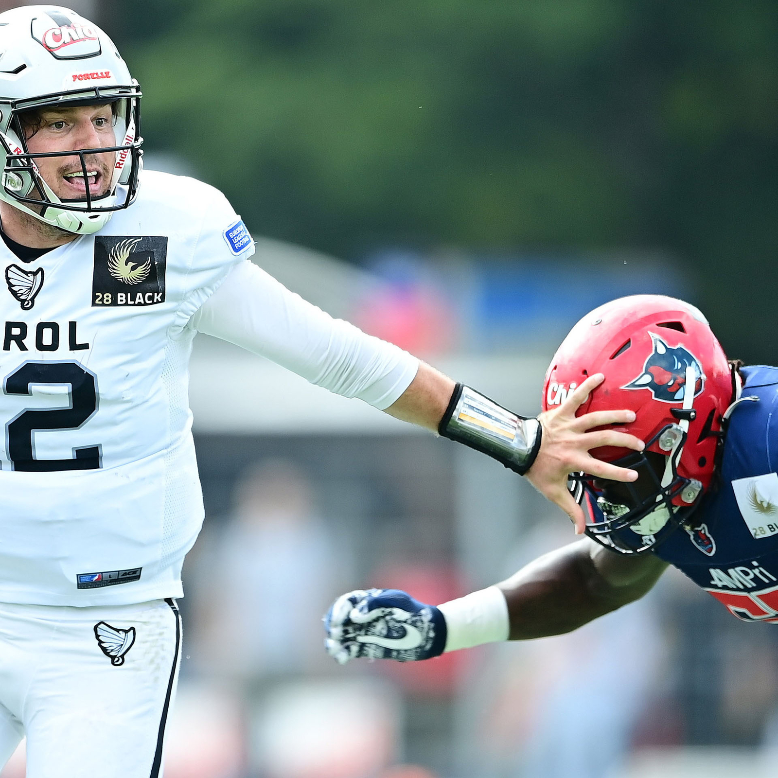 Football: Hamburg Sea Devils starten in Breslau die dritte ELF-Saison, Sport