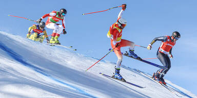 Ski Cross Weltcup