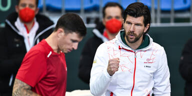 Davis Cup Melzer Novak