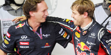 Mercedes will Red-Bull-Teamchef Horner