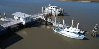 Sapelo Island