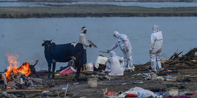 Dutzende Leichen am Ganges angeschwemmt