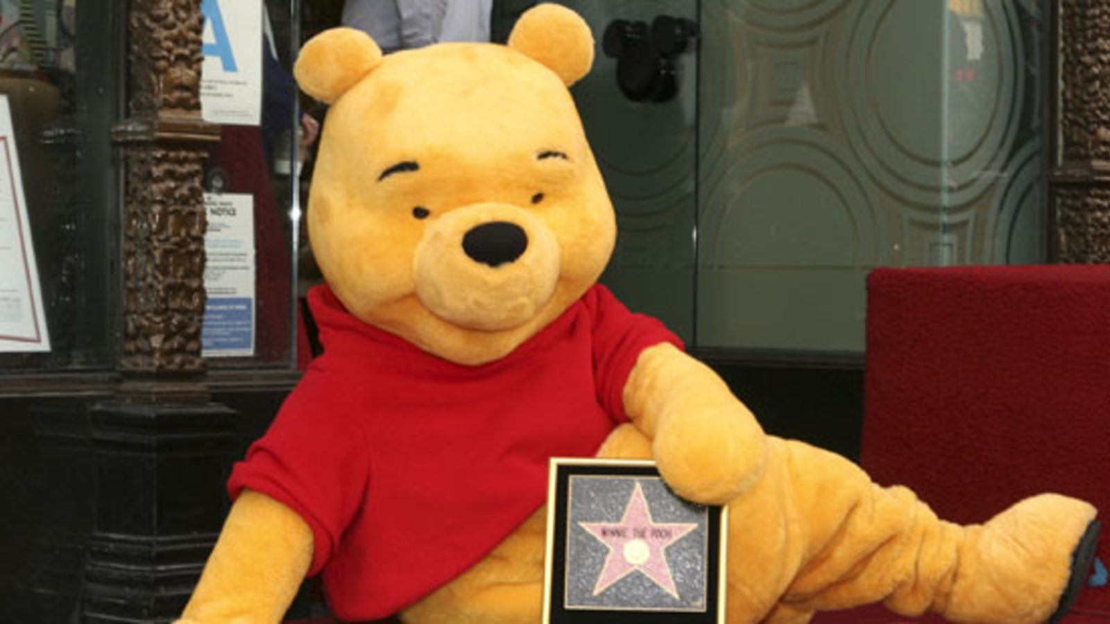 Winnie Puuh ist ein Mädchen! stars24