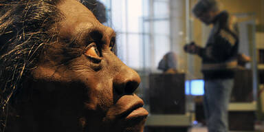 Homo floresiensis