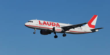 Lauda Motion