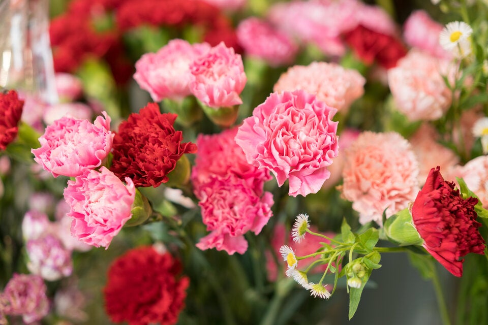 Sags durch die Blume