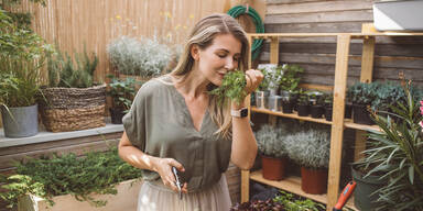 Gemüse und Kräuter pflanzen: Die wichtigsten Tipps im April