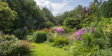 Garten allein zu Hause: So machen Sie Rasen & Co. urlaubsfit