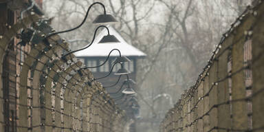 NS-Gedenkstätte Auschwitz antisemitisch beschmiert