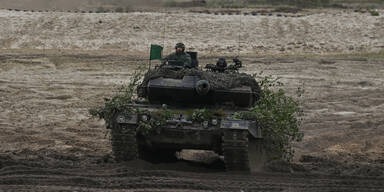 Leopard Panzer