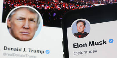 Elon Musk und Donald Trump